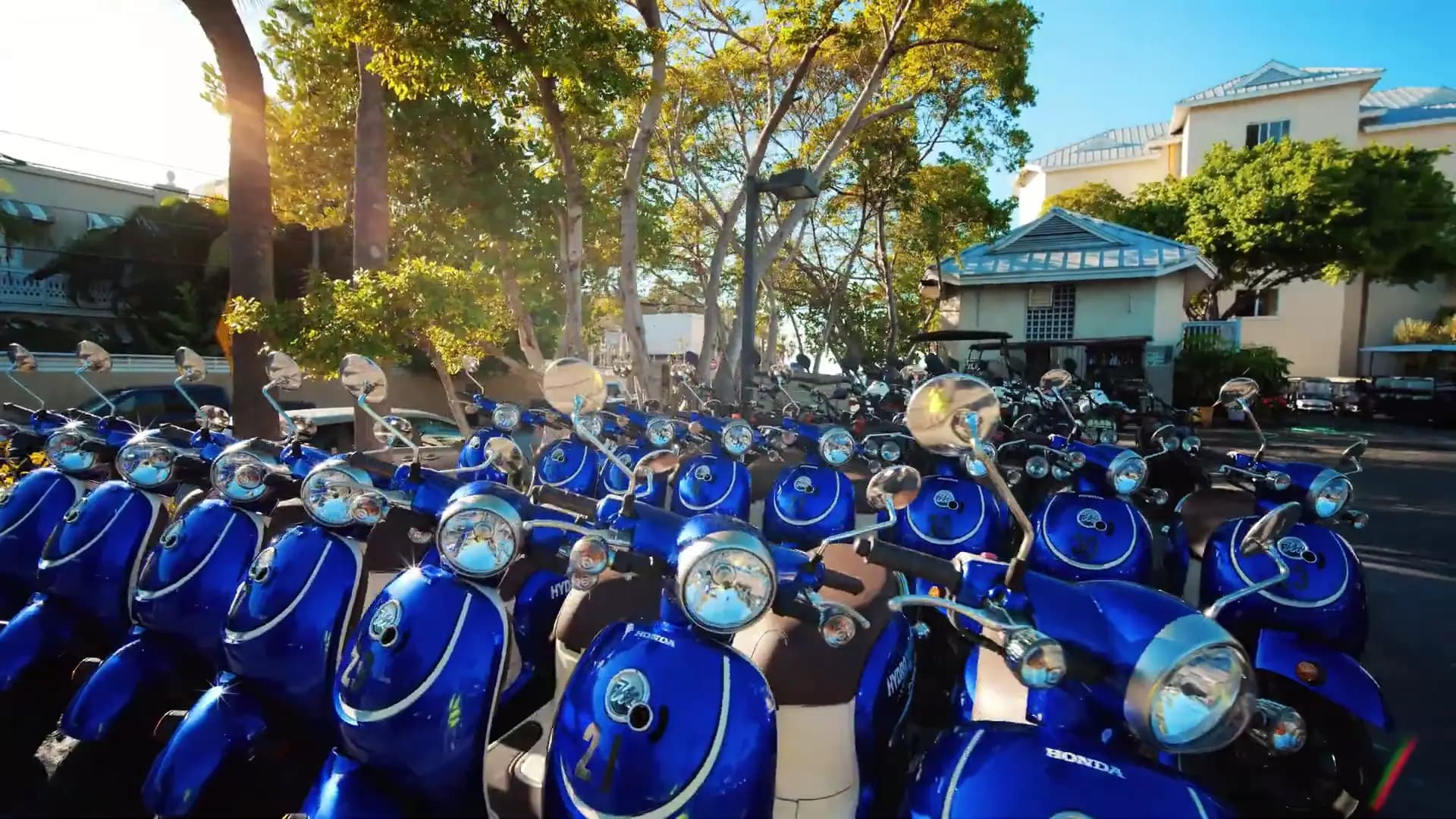 Fleet of blue Vespa scooters lined up and ready to ride