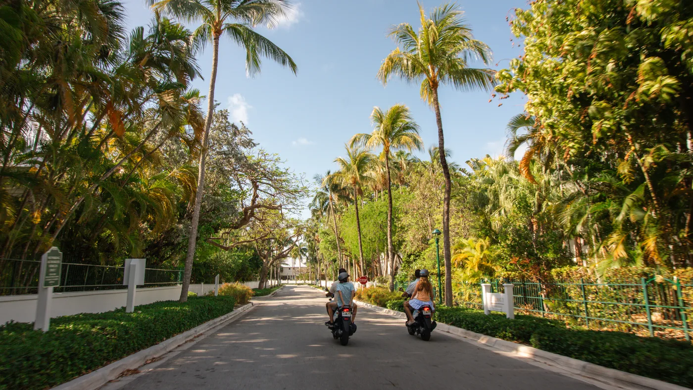 Two riders cruising down a lush palm-lined Key West road